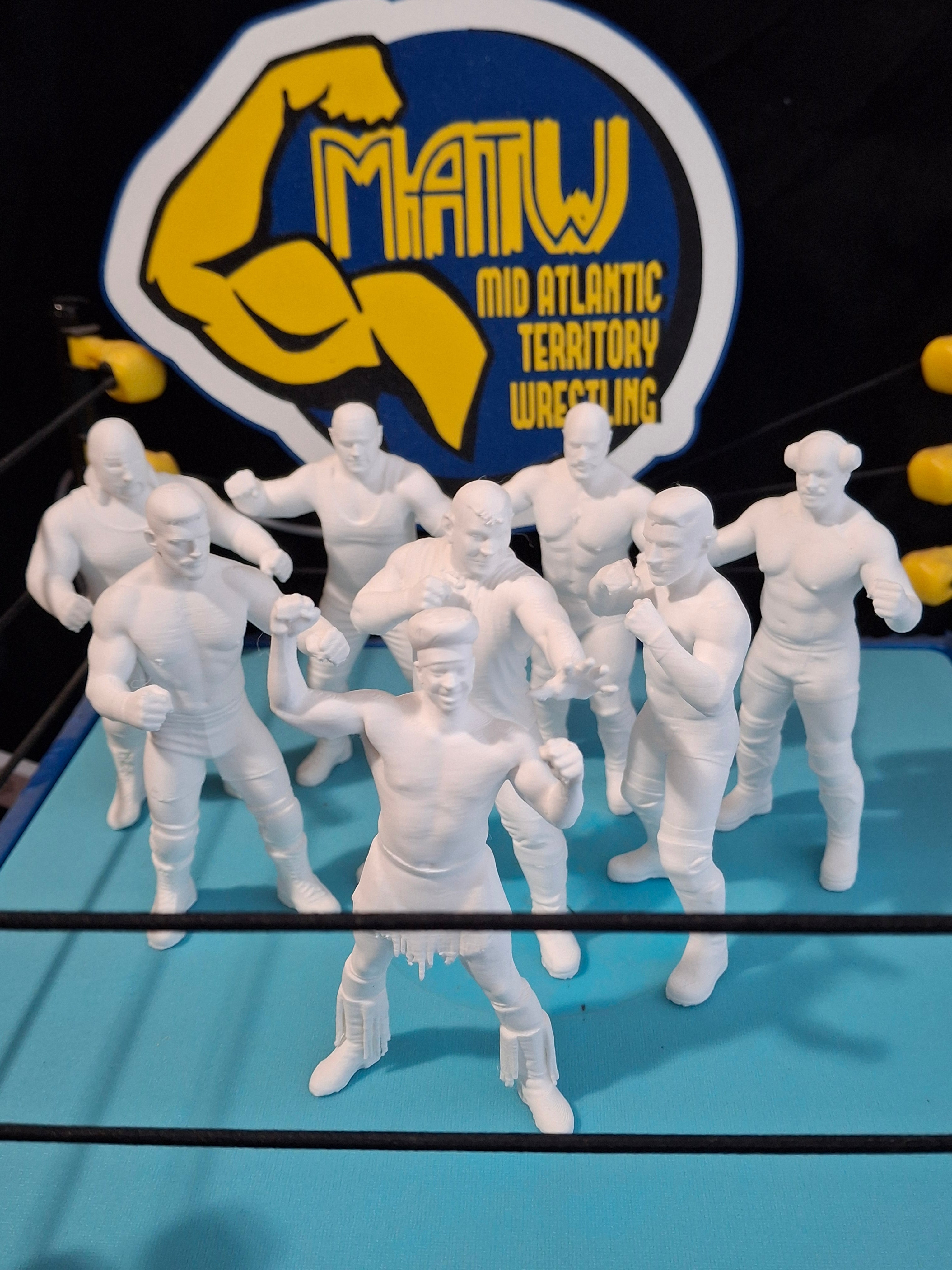 Pro Wrestling Figures