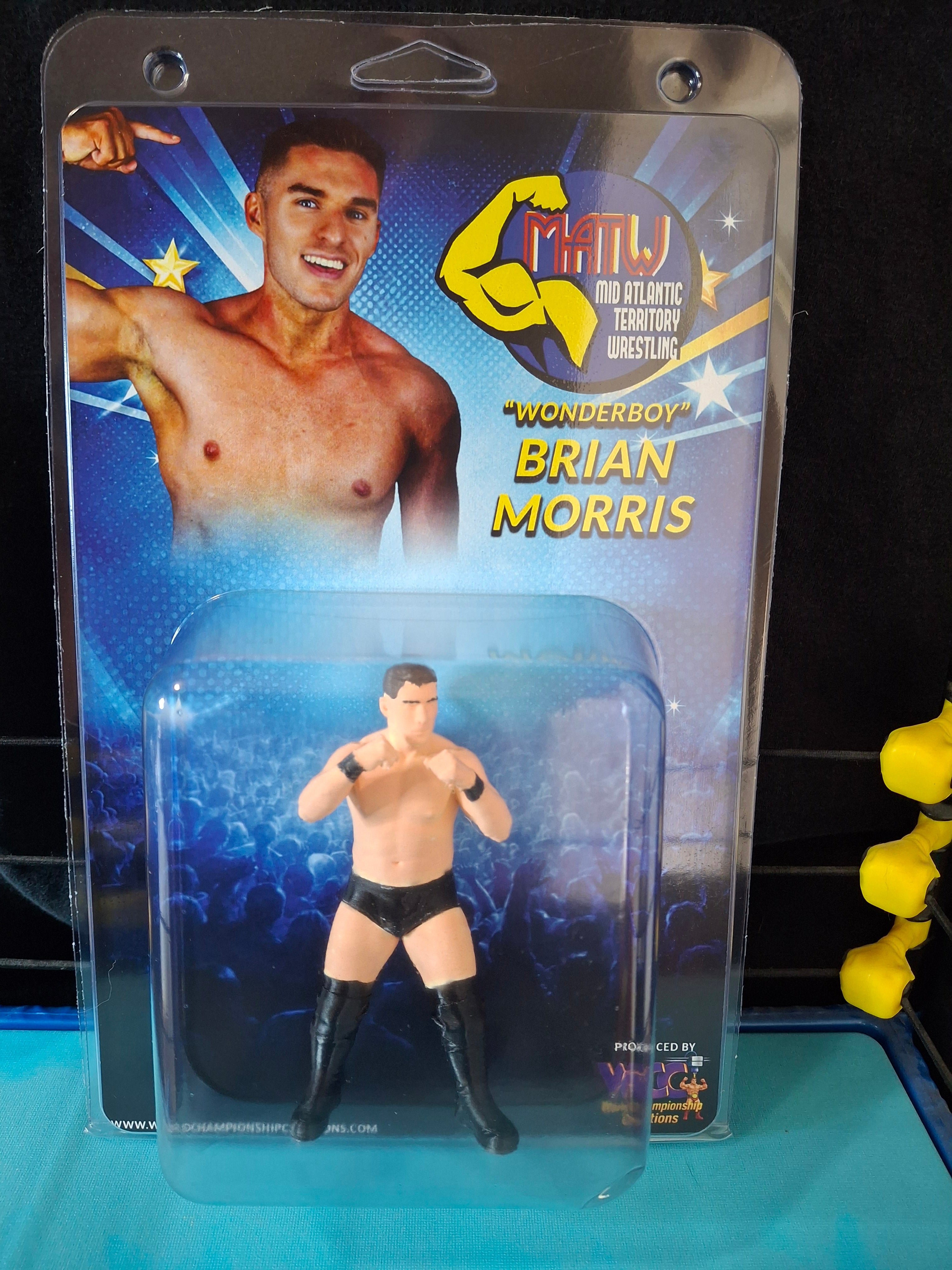 "Wonderboy" Brian Morris action figure (painted)